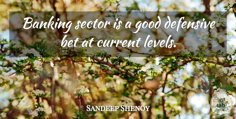 Sandeep Shenoy Quote About Banking, Bet, Current, Defensive, Good: Banking Sector Is A Good...