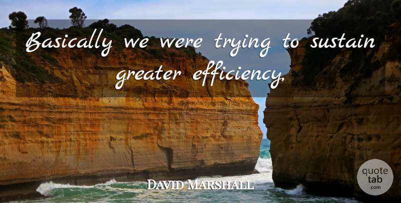 David Marshall Quote About Basically, Greater, Sustain, Trying: Basically We Were Trying To...
