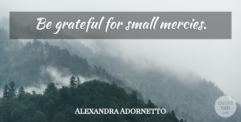 Alexandra Adornetto Quote About Grateful, Be Grateful, Mercy: Be Grateful For Small Mercies...