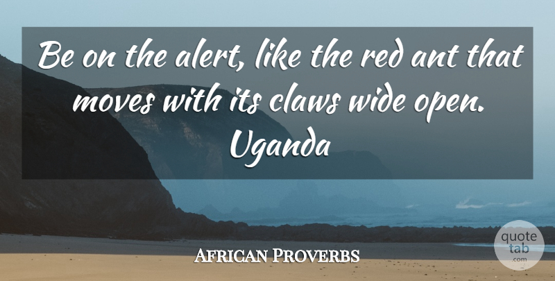 African Proverbs Quote About Ant, Claws, Moves, Proverbs, Red: Be On The Alert Like...