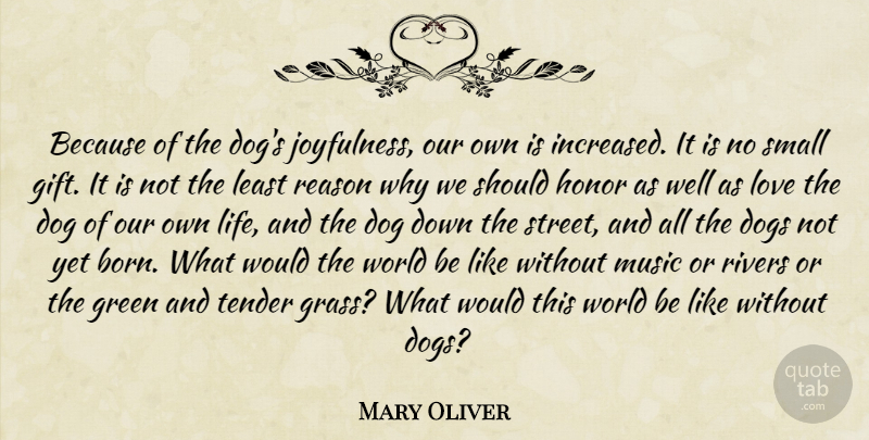 Mary Oliver Quote About Dog, Rivers, Honor: Because Of The Dogs Joyfulness...
