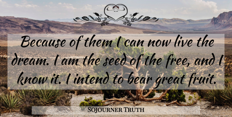 Sojourner Truth Quote About Dream, Fruit, Bears: Because Of Them I Can...