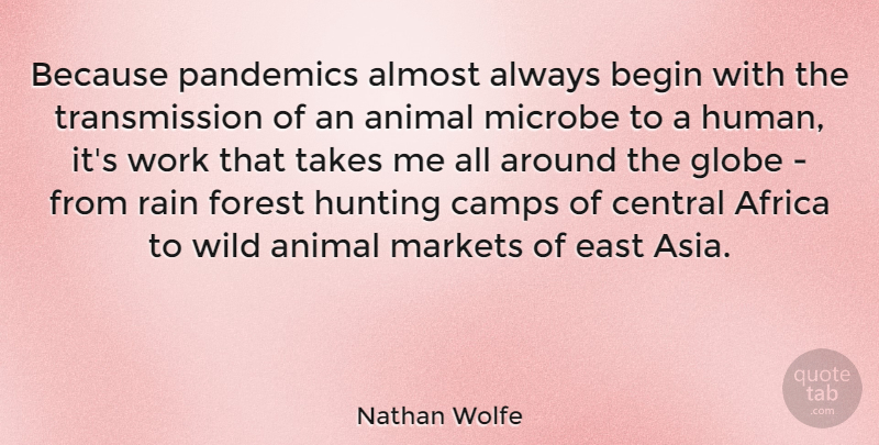 Nathan Wolfe Quote About Africa, Almost, Begin, Camps, Central: Because Pandemics Almost Always Begin...