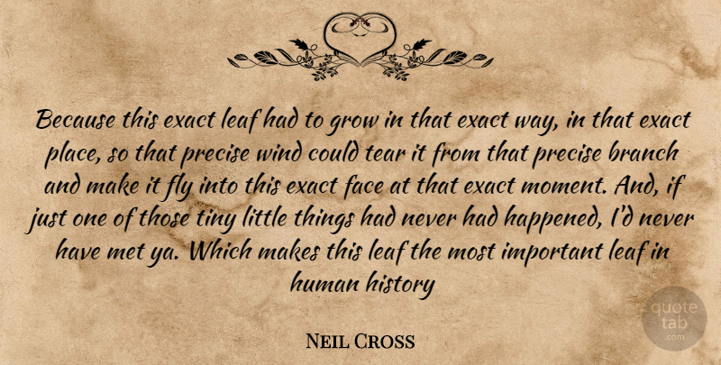Neil Cross Quote About Wind, Tears, Important: Because This Exact Leaf Had...