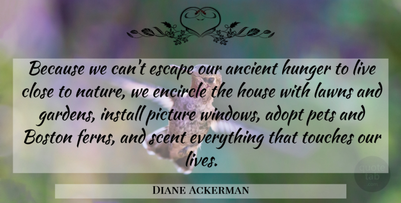 Diane Ackerman Quote About Garden, Boston, House: Because We Cant Escape Our...