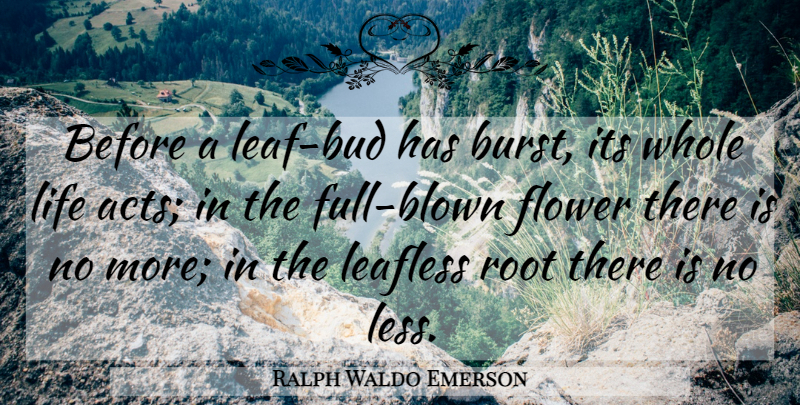 Ralph Waldo Emerson Quote About Flower, Roots, Bud: Before A Leaf Bud Has...