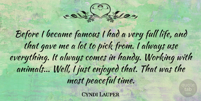 Cyndi Lauper Quote About Animal, Peaceful, Use: Before I Became Famous I...