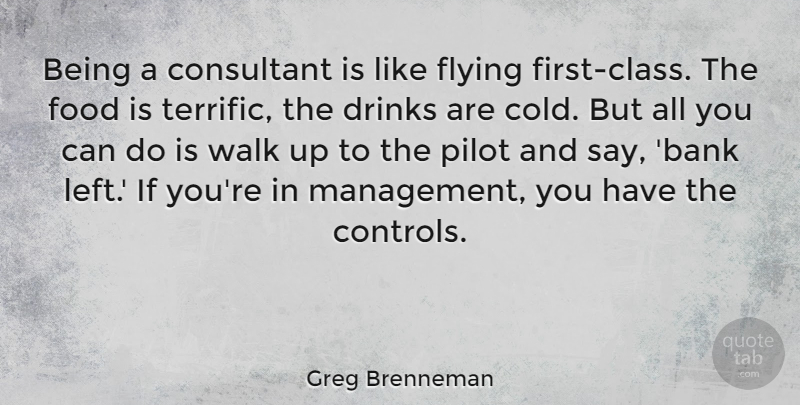Greg Brenneman Quote About Consultant, Drinks, Flying, Food, Pilot: Being A Consultant Is Like...