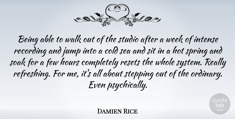 Damien Rice Quote About Cold, Few, Hot, Hours, Intense: Being Able To Walk Out...