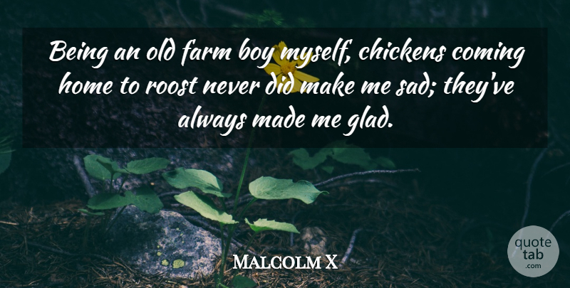 Malcolm X Quote About Chickens, Coming, Farm, Home, Sad: Being An Old Farm Boy...