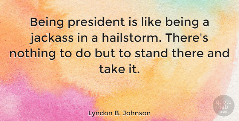 Lyndon B. Johnson Quote About Hype, History, Political: Being President Is Like Being...