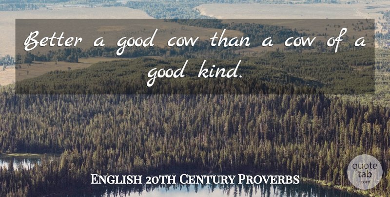 English 20th Century Proverbs Quote About Cow, Good, Proverbs: Better A Good Cow Than...