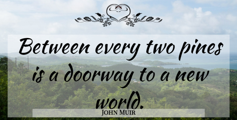 John Muir Quote About Two, Tree, Curiosity: Between Every Two Pines Is...
