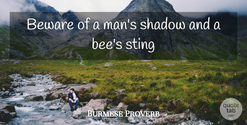 Burmese Proverb Quote About Beware, Shadow, Sting: Beware Of A Mans Shadow...