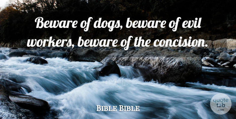 Bible Bible Quote About Beware, Dogs, Evil: Beware Of Dogs Beware Of...