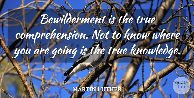 Martin Luther Quote About Faith, Where You Are, Discipleship: Bewilderment Is The True Comprehension...