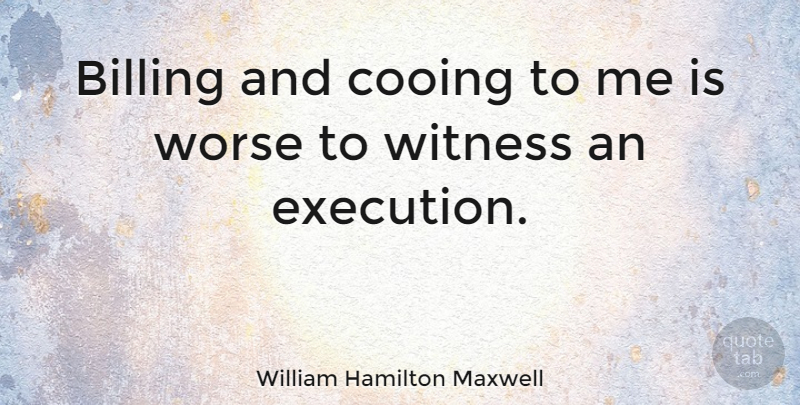 William Hamilton Maxwell Quote About Execution, Witness, Billing: Billing And Cooing To Me...