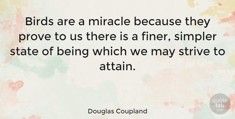 Douglas Coupland Quote About Bird, Miracle, May: Birds Are A Miracle Because...