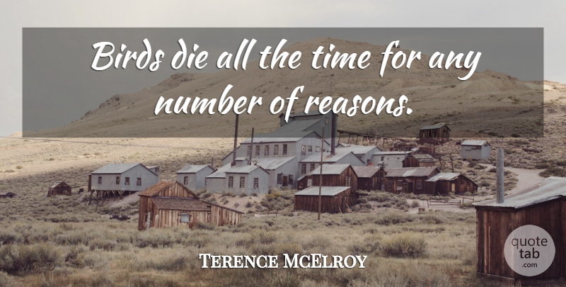 Terence McElroy Quote About Birds, Die, Number, Time: Birds Die All The Time...