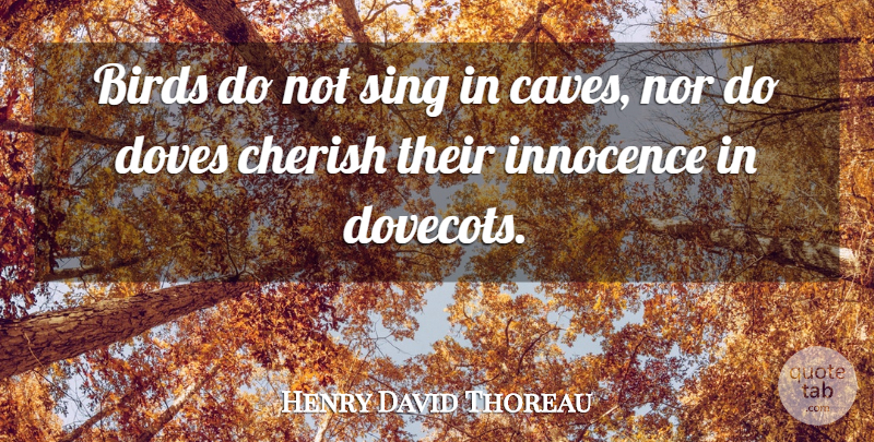 Henry David Thoreau Quote About Bird, Caves, Innocence: Birds Do Not Sing In...