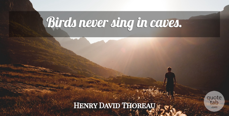 Henry David Thoreau Quote About Bird, Caves, Sin: Birds Never Sing In Caves...
