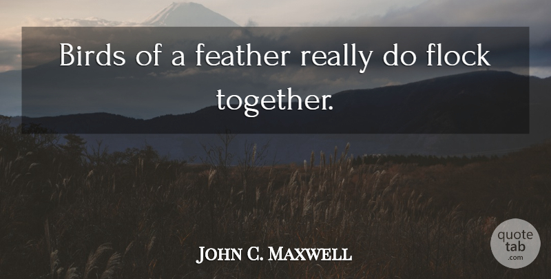 John C. Maxwell Quote About Bird, Leader, Together: Birds Of A Feather Really...
