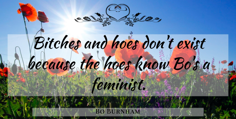 Bo Burnham Quote About Hoe, Feminist, Knows: Bitches And Hoes Dont Exist...