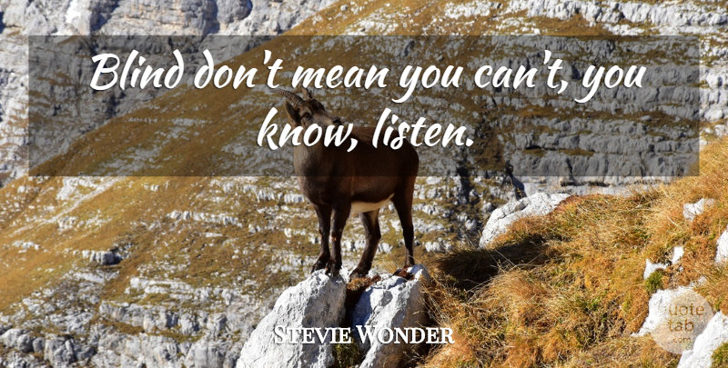 Stevie Wonder Quote About Mean, Blind, Knows: Blind Dont Mean You Cant...