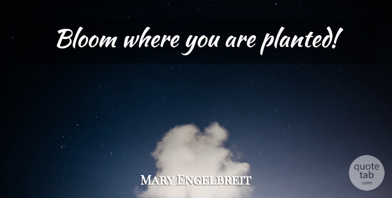 Mary Engelbreit Quote About Garden, Where You Are: Bloom Where You Are Planted...