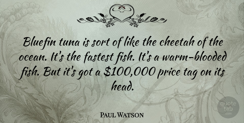 Paul Watson Quote About Fastest, Price, Sort, Tag, Tuna: Bluefin Tuna Is Sort Of...