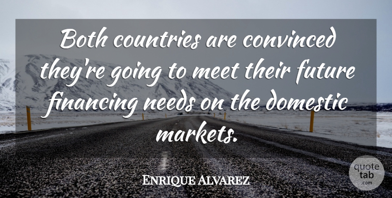 Enrique Alvarez Quote About Both, Convinced, Countries, Domestic, Financing: Both Countries Are Convinced Theyre...