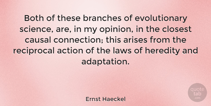 Ernst Haeckel Quote About Law, Branches, Connections: Both Of These Branches Of...