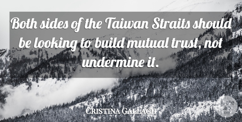 Cristina Gallach Quote About Both, Build, Looking, Mutual, Sides: Both Sides Of The Taiwan...