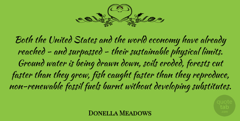 Donella Meadows Quote About Both, Burnt, Caught, Cut, Developing: Both The United States And...