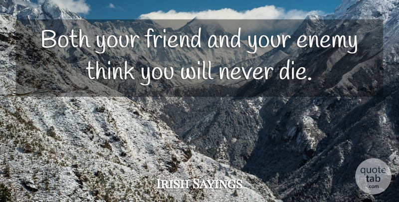 Irish Sayings Quote About Both, Enemy, Friend: Both Your Friend And Your...