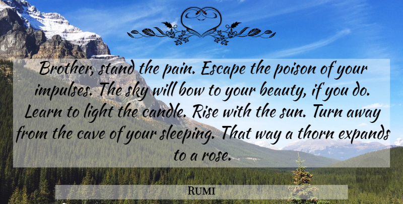Rumi Quote About Beauty, Brother, Pain: Brother Stand The Pain Escape...