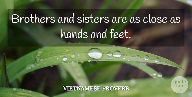 Vietnamese Proverb Quote About Brothers, Close, Hands, Sisters: Brothers And Sisters Are As...