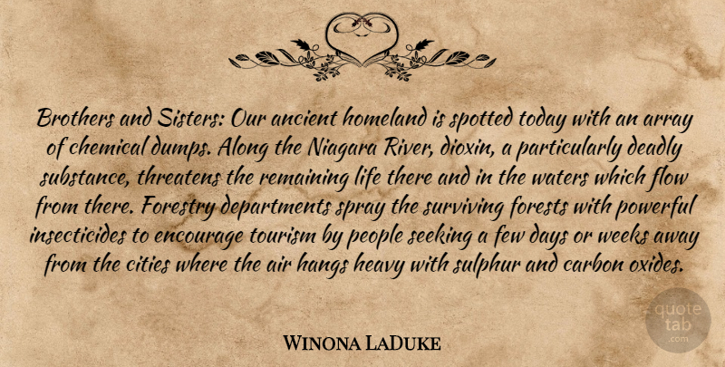 Winona LaDuke Quote About Brother, Powerful, Air: Brothers And Sisters Our Ancient...