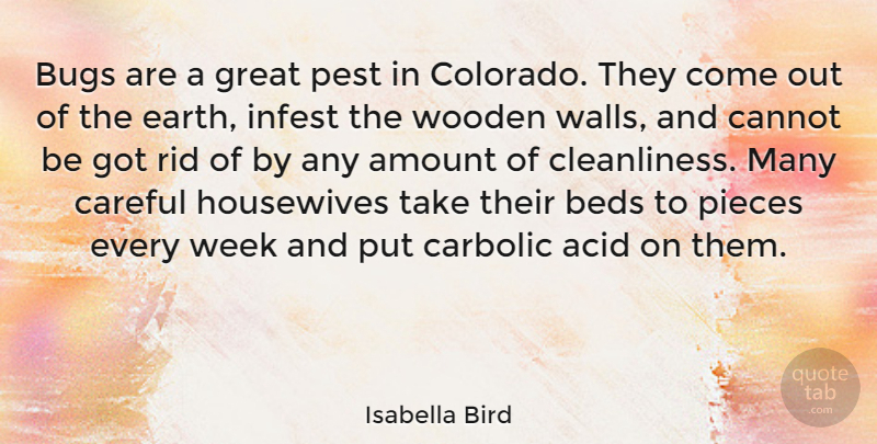 Isabella Bird Quote About Acid, Amount, Beds, Bugs, Cannot: Bugs Are A Great Pest...