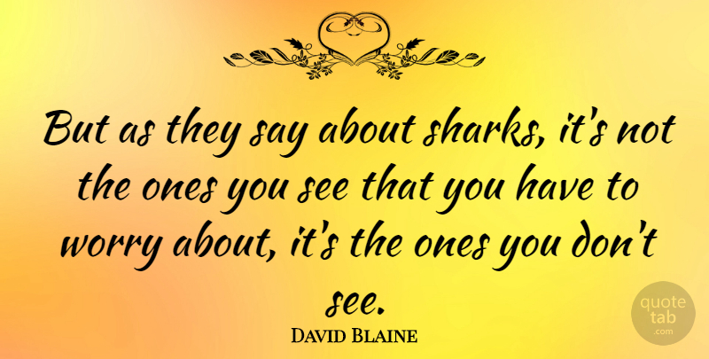 David Blaine Quote About Sharks, Worry: But As They Say About...