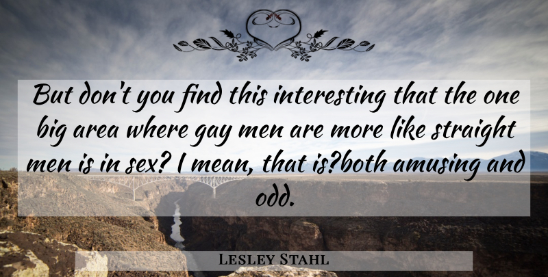 Lesley Stahl Quote About Amusing, Area, Gay, Men, Straight: But Dont You Find This...