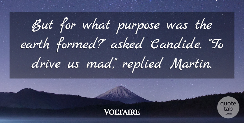 Voltaire Quote About Mad, Earth, Purpose: But For What Purpose Was...