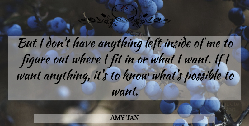 Amy Tan Quote About Want, Fit, Figures: But I Dont Have Anything...