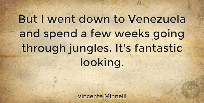 Vincente Minnelli Quote About Venezuela, Week, Fantastic: But I Went Down To...