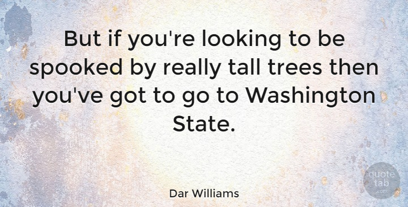 Dar Williams Quote About Tree, Washington State, States: But If Youre Looking To...