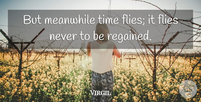 Virgil Quote About English Poet, Time: But Meanwhile Time Flies It...