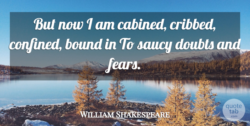 William Shakespeare Quote About Doubt, Confined, Bounds: But Now I Am Cabined...