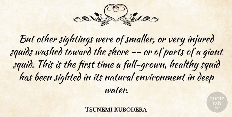 Tsunemi Kubodera Quote About Deep, Environment, Giant, Healthy, Injured: But Other Sightings Were Of...