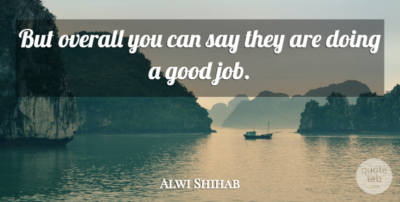 Alwi Shihab Quote About Good, Overall: But Overall You Can Say...