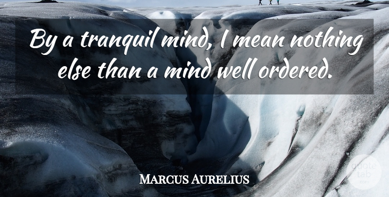 Marcus Aurelius Quote About Mean, Order, Mind: By A Tranquil Mind I...